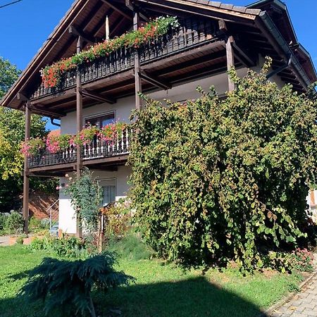 Gaestehaus Zum Rhein Rheinhausen Ngoại thất bức ảnh