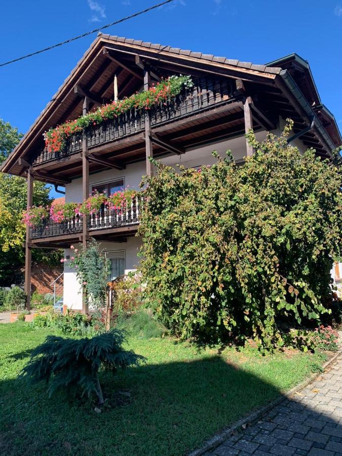 Gaestehaus Zum Rhein Rheinhausen Ngoại thất bức ảnh