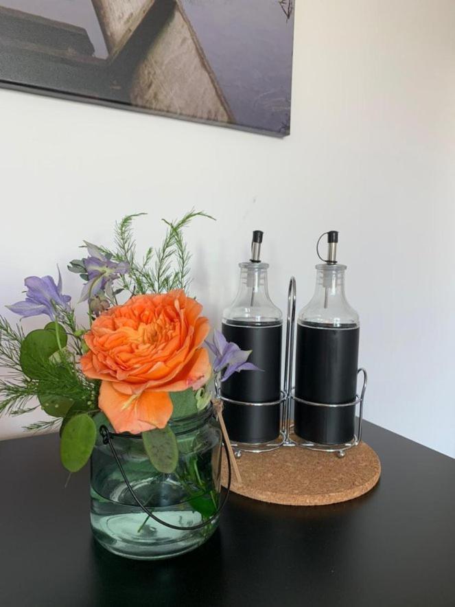 Gaestehaus Zum Rhein Rheinhausen Ngoại thất bức ảnh